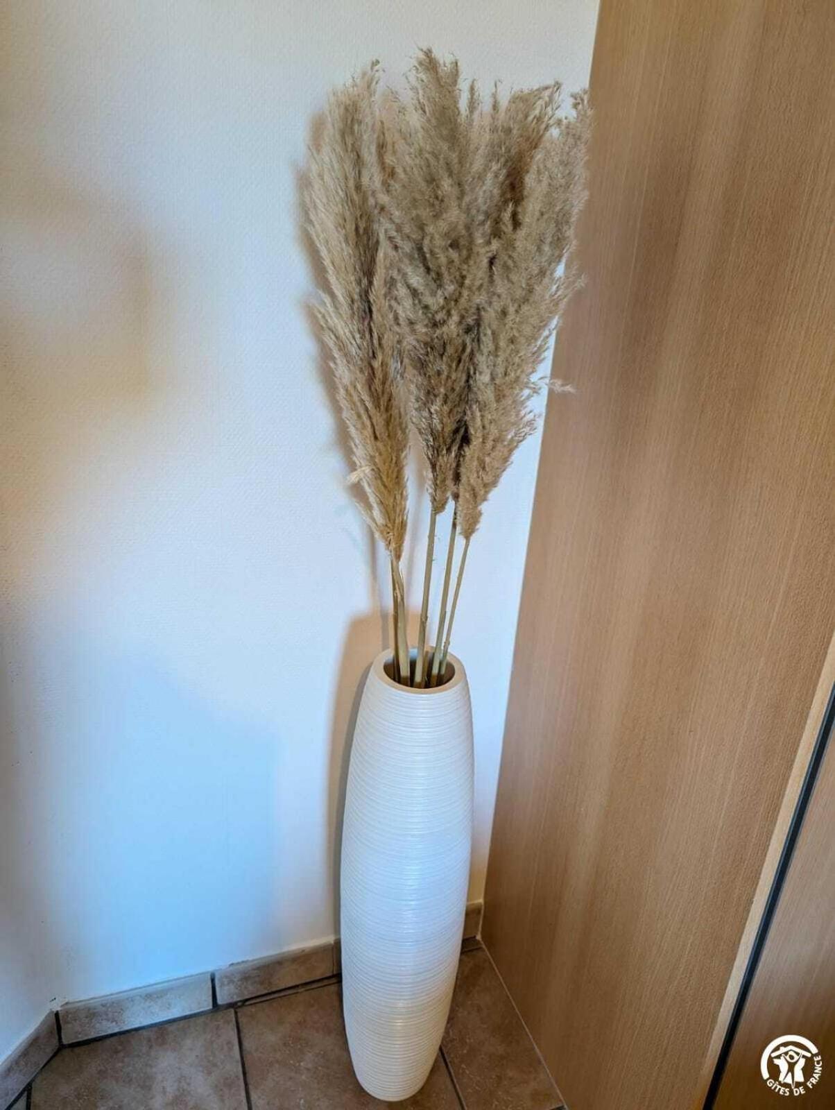 לינה וארוחת בוקר La Caunette La Maison Millesime מראה חיצוני תמונה